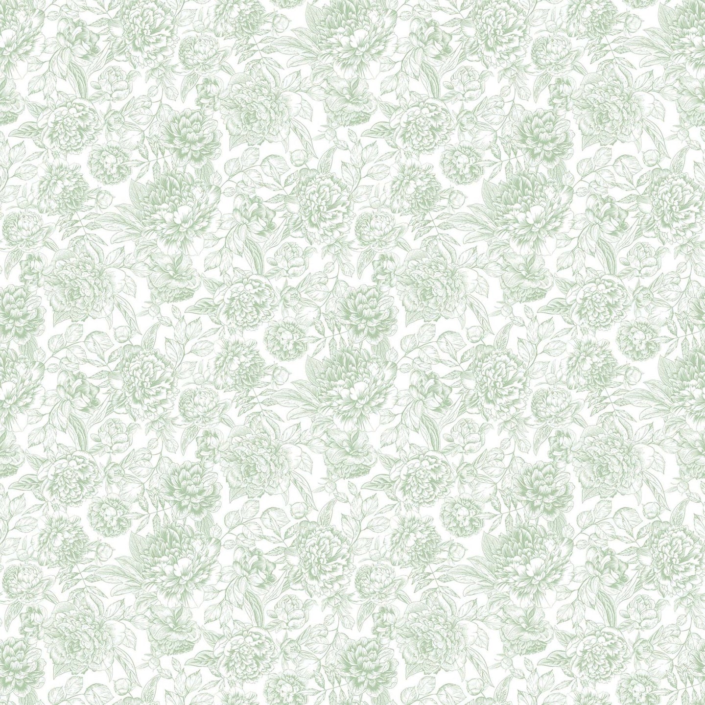 Blush Sateen Stripe - Floral Toile Green