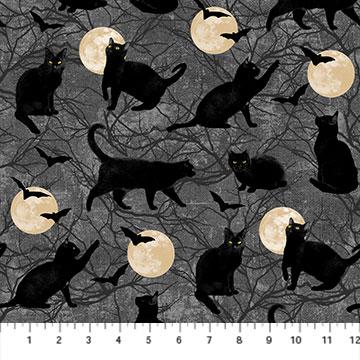 Black Cat Cats Chasing Moon